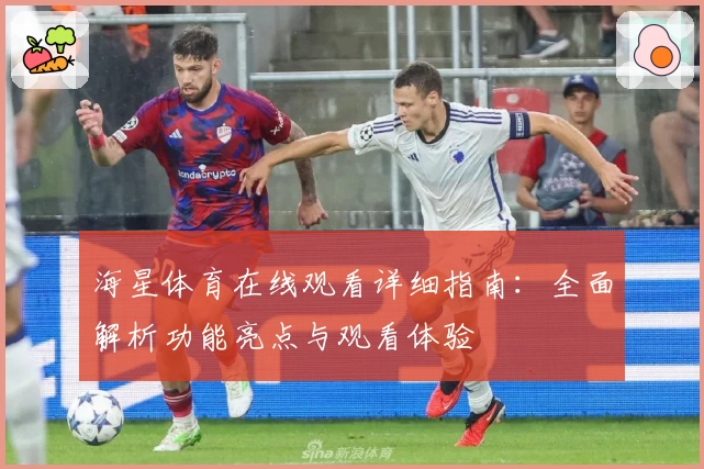 海星体育在线观看详细指南：全面解析功能亮点与观看体验