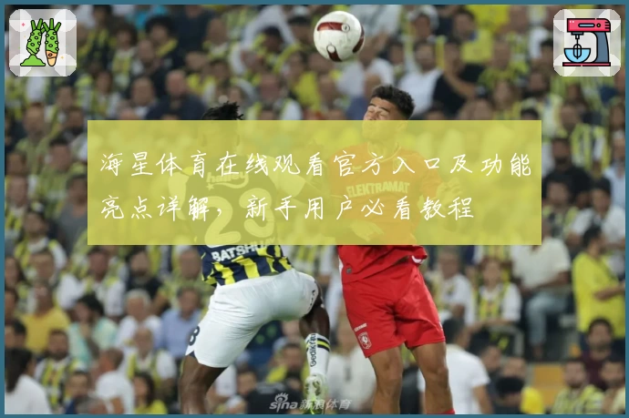 海星体育在线观看官方入口及功能亮点详解,新手用户必看教程
