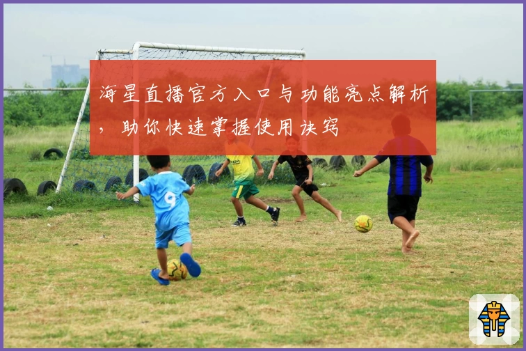 海星直播官方入口与功能亮点解析,助你快速掌握使用诀窍